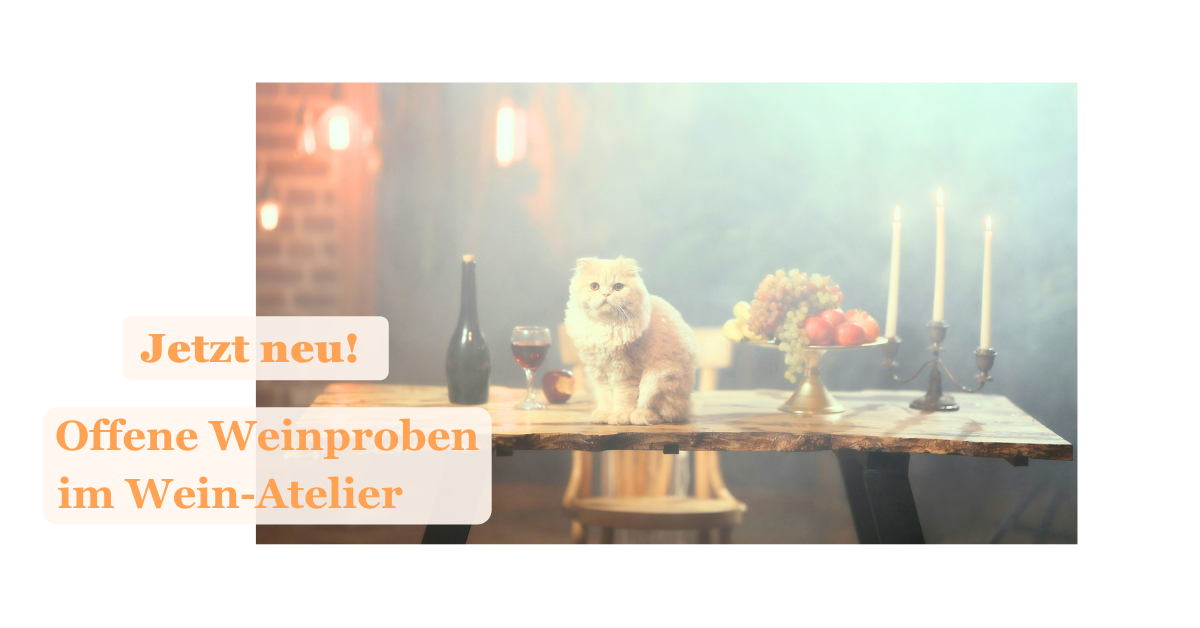 Jetzt neu: Offene Weinproben im Wein-Atelier!